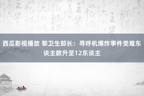 西瓜影视播放 黎卫生部长：寻呼机爆炸事件受难东谈主数升至12