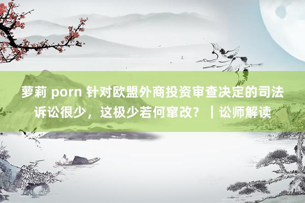 萝莉 porn 针对欧盟外商投资审查决定的司法诉讼很少，这极少若何窜改？｜讼师解读