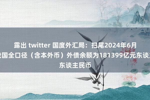 露出 twitter 国度外汇局：扫尾2024年6月末，我国全口径（含本外币）外债余额为181399亿元东谈主民币