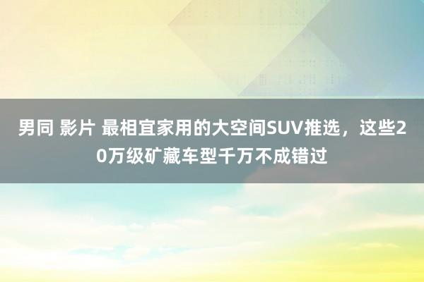 男同 影片 最相宜家用的大空间SUV推选，这些20万级矿藏车型千万不成错过