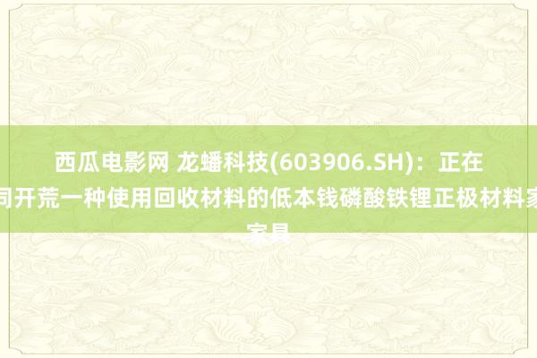 西瓜电影网 龙蟠科技(603906.SH)：正在共同开荒一种使用回收材料的低本钱磷酸铁锂正极材料家具