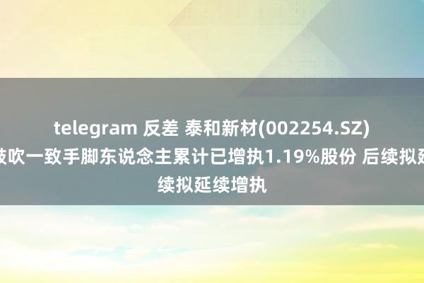 telegram 反差 泰和新材(002254.SZ)：控股鼓吹一致手脚东说念主累计已增执1.19%股份 后续拟延续增执