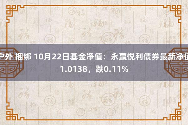 户外 捆绑 10月22日基金净值：永赢悦利债券最新净值1.0138，跌0.11%