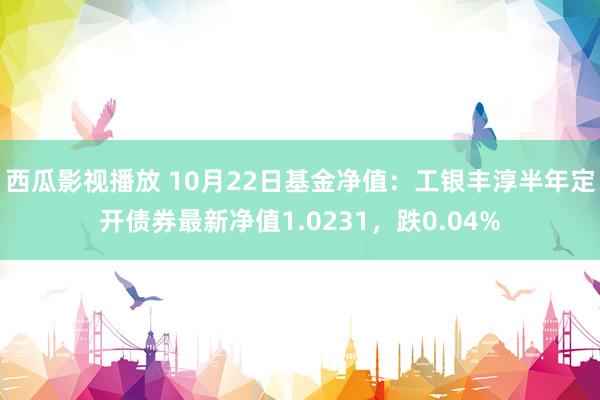 西瓜影视播放 10月22日基金净值：工银丰淳半年定开债券最新净值1.0231，跌0.04%