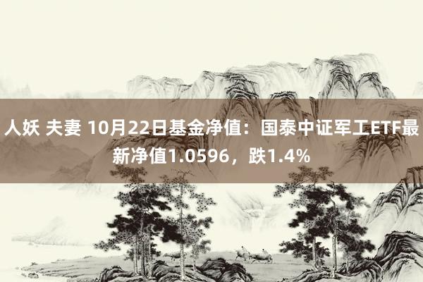 人妖 夫妻 10月22日基金净值：国泰中证军工ETF最新净值1.0596，跌1.4%