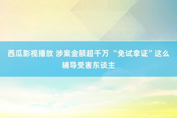 西瓜影视播放 涉案金额超千万 “免试拿证”这么辅导受害东谈主