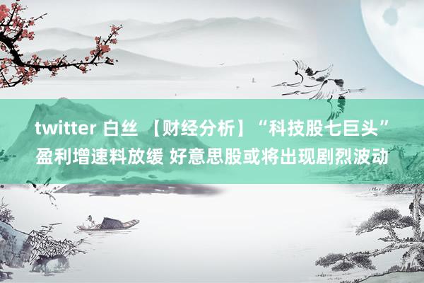 twitter 白丝 【财经分析】“科技股七巨头”盈利增速料放缓 好意思股或将出现剧烈波动