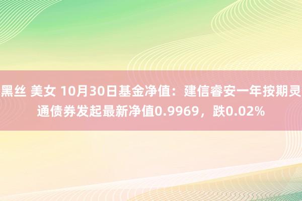 黑丝 美女 10月30日基金净值：建信睿安一年按期灵通债券发起最新净值0.9969，跌0.02%