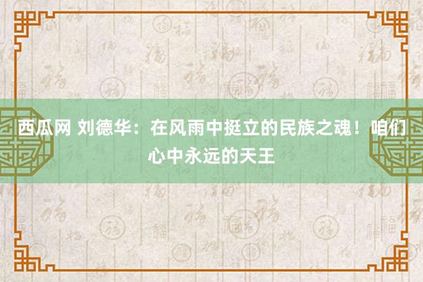 西瓜网 刘德华：在风雨中挺立的民族之魂！咱们心中永远的天王