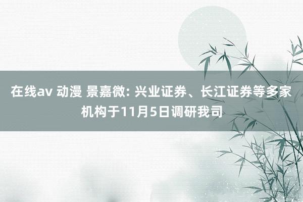 在线av 动漫 景嘉微: 兴业证券、长江证券等多家机构于11月5日调研我司