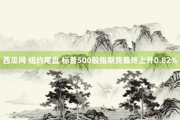 西瓜网 纽约尾盘 标普500股指期货最终上升0.82%