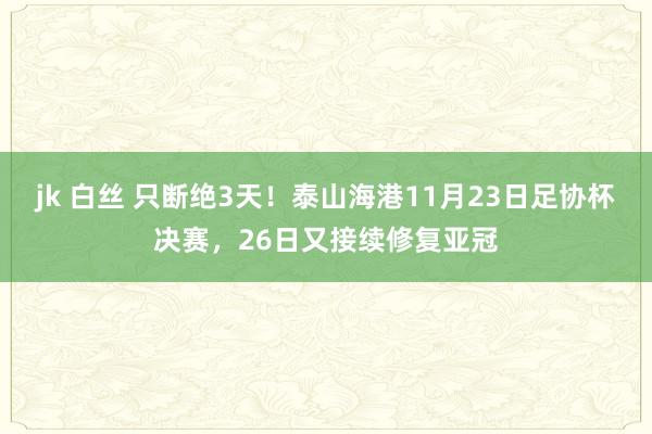 jk 白丝 只断绝3天！泰山海港11月23日足协杯决赛，26