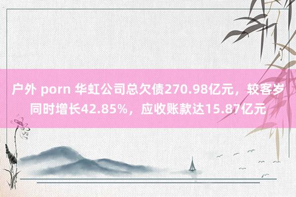 户外 porn 华虹公司总欠债270.98亿元，较客岁同时增