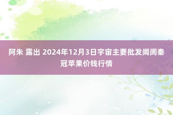 阿朱 露出 2024年12月3日宇宙主要批发阛阓秦冠苹果价钱行情