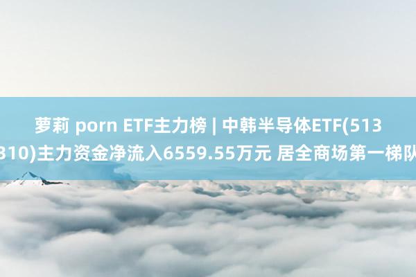 萝莉 porn ETF主力榜 | 中韩半导体ETF(513310)主力资金净流入6559.55万元 居全商场第一梯队