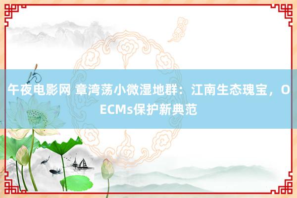 午夜电影网 章湾荡小微湿地群：江南生态瑰宝，OECMs保护新典范