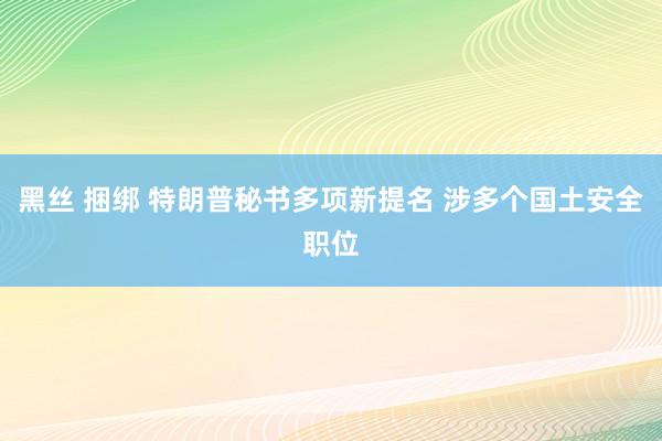 黑丝 捆绑 特朗普秘书多项新提名 涉多个国土安全职位