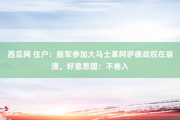 西瓜网 住户：叛军参加大马士革阿萨德政权在崩溃。好意思国：不卷入