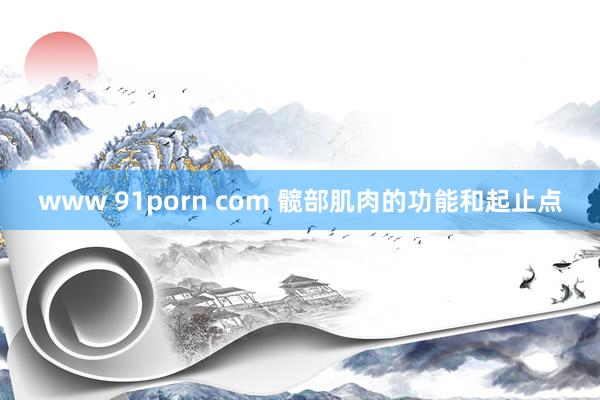 www 91porn com 髋部肌肉的功能和起止点