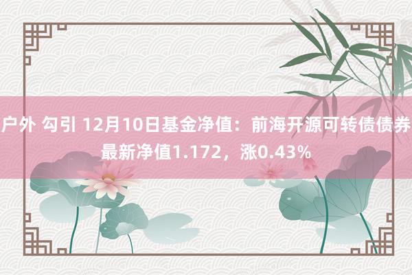 户外 勾引 12月10日基金净值：前海开源可转债债券最新净值1.172，涨0.43%