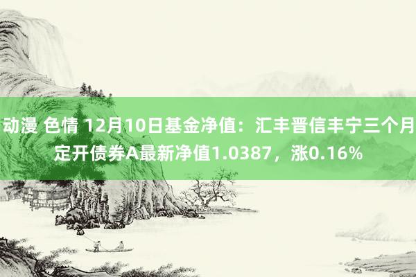 动漫 色情 12月10日基金净值：汇丰晋信丰宁三个月定开债券A最新净值1.0387，涨0.16%