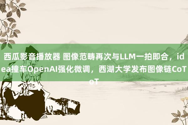 西瓜影音播放器 图像范畴再次与LLM一拍即合，idea撞车OpenAI强化微调，西湖大学发布图像链CoT