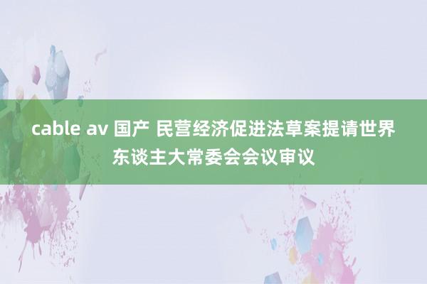 cable av 国产 民营经济促进法草案提请世界东谈主大常委会会议审议