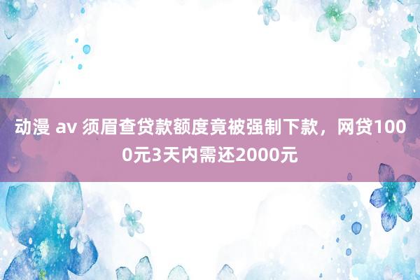 动漫 av 须眉查贷款额度竟被强制下款，网贷1000元3天内需还2000元