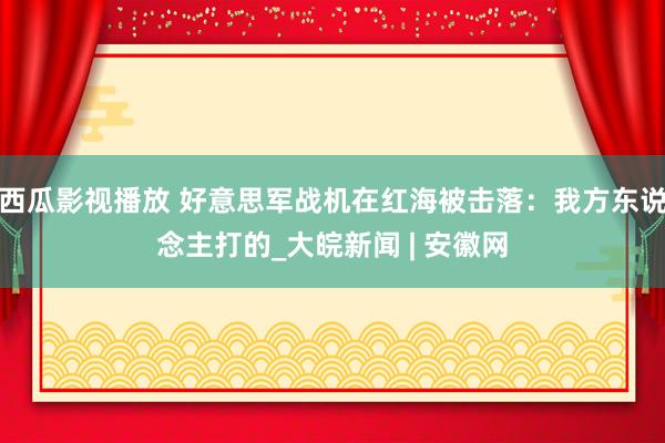 西瓜影视播放 好意思军战机在红海被击落：我方东说念主打的_大皖新闻 | 安徽网