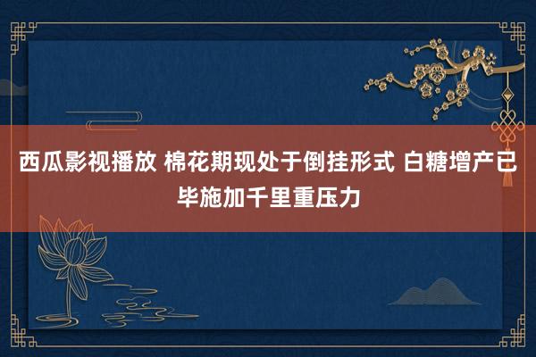 西瓜影视播放 棉花期现处于倒挂形式 白糖增产已毕施加千里重压力