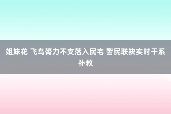 姐妹花 飞鸟膂力不支落入民宅 警民联袂实时干系补救