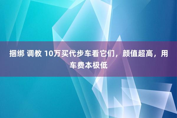 捆绑 调教 10万买代步车看它们，颜值超高，用车费本极低