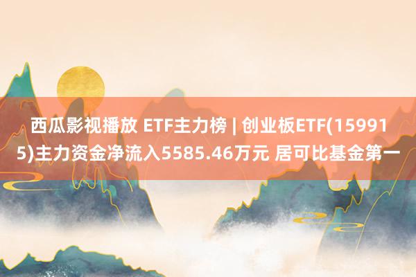 西瓜影视播放 ETF主力榜 | 创业板ETF(159915)