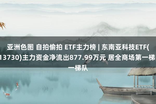 亚洲色图 自拍偷拍 ETF主力榜 | 东南亚科技ETF(51