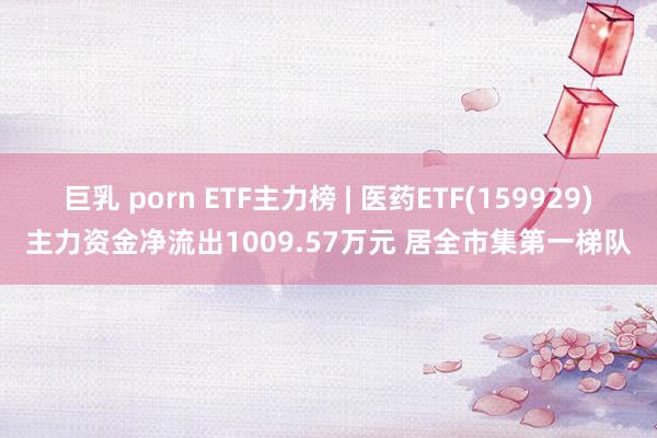 巨乳 porn ETF主力榜 | 医药ETF(159929)