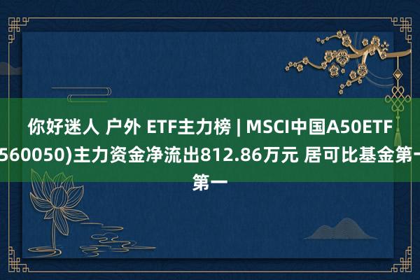 你好迷人 户外 ETF主力榜 | MSCI中国A50ETF(