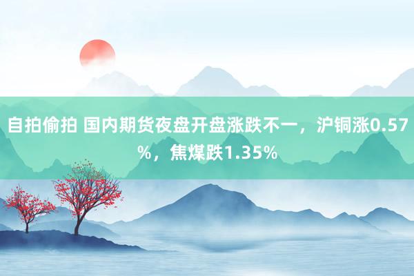 自拍偷拍 国内期货夜盘开盘涨跌不一，沪铜涨0.57%，焦煤跌