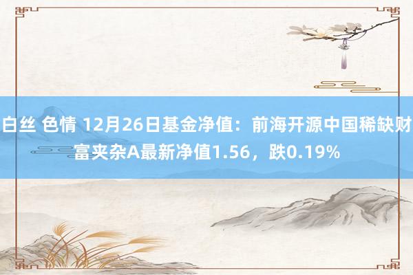 白丝 色情 12月26日基金净值：前海开源中国稀缺财富夹杂A