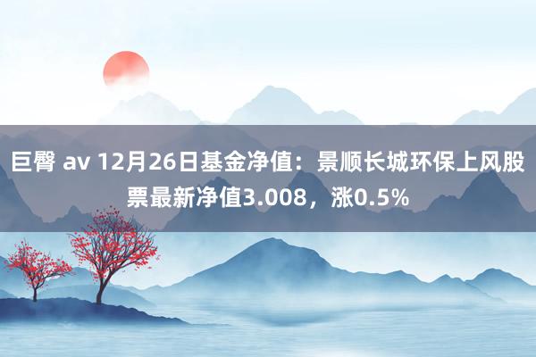 巨臀 av 12月26日基金净值：景顺长城环保上风股票最新净