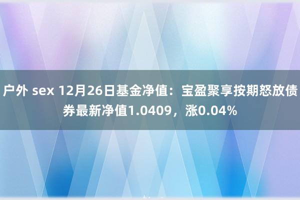 户外 sex 12月26日基金净值：宝盈聚享按期怒放债券最新