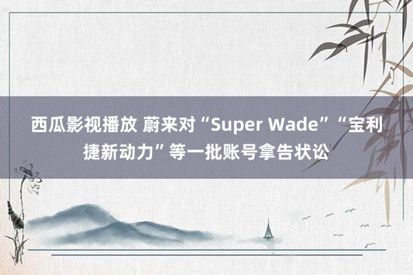 西瓜影视播放 蔚来对“Super Wade”“宝利捷新动力”