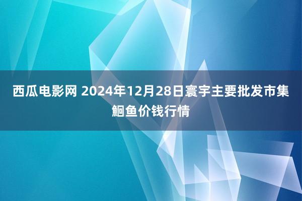 西瓜电影网 2024年12月28日寰宇主要批发市集鮰鱼价钱行