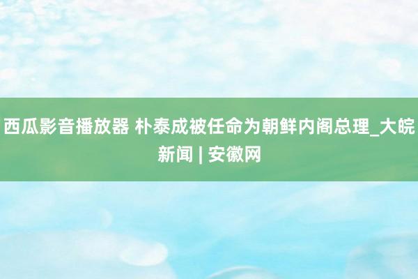 西瓜影音播放器 朴泰成被任命为朝鲜内阁总理_大皖新闻 | 安