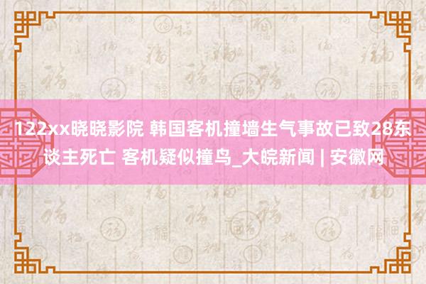 122xx晓晓影院 韩国客机撞墙生气事故已致28东谈主死亡 