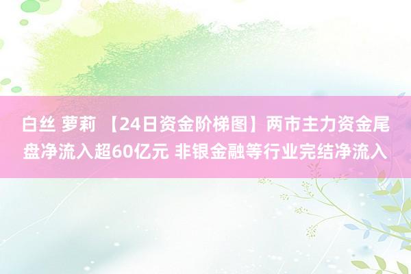 白丝 萝莉 【24日资金阶梯图】两市主力资金尾盘净流入超60亿元 非银金融等行业完结净流入