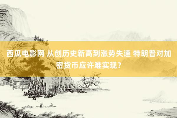 西瓜电影网 从创历史新高到涨势失速 特朗普对加密货币应许难实现？