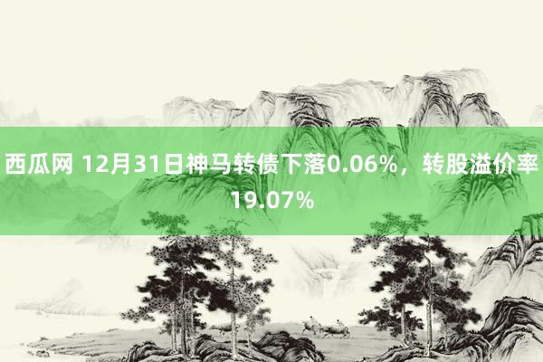 西瓜网 12月31日神马转债下落0.06%，转股溢价率19.