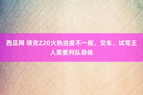 西瓜网 领克Z20火热进度不一般，交车、试驾王人需要列队恭候