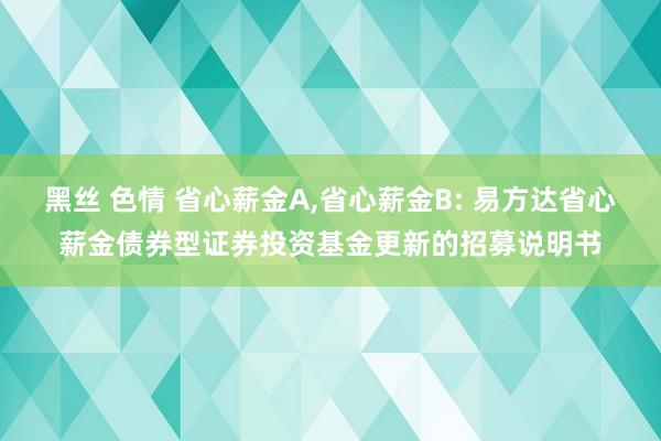 黑丝 色情 省心薪金A，省心薪金B: 易方达省心薪金债券型证券投资基金更新的招募说明书