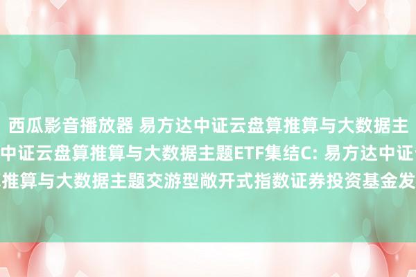 西瓜影音播放器 易方达中证云盘算推算与大数据主题ETF集结A，易方达中证云盘算推算与大数据主题ETF集结C: 易方达中证云盘算推算与大数据主题交游型敞开式指数证券投资基金发起式集结基金更新的招募说明书